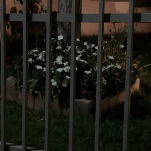 Meet your Posher, Marleny